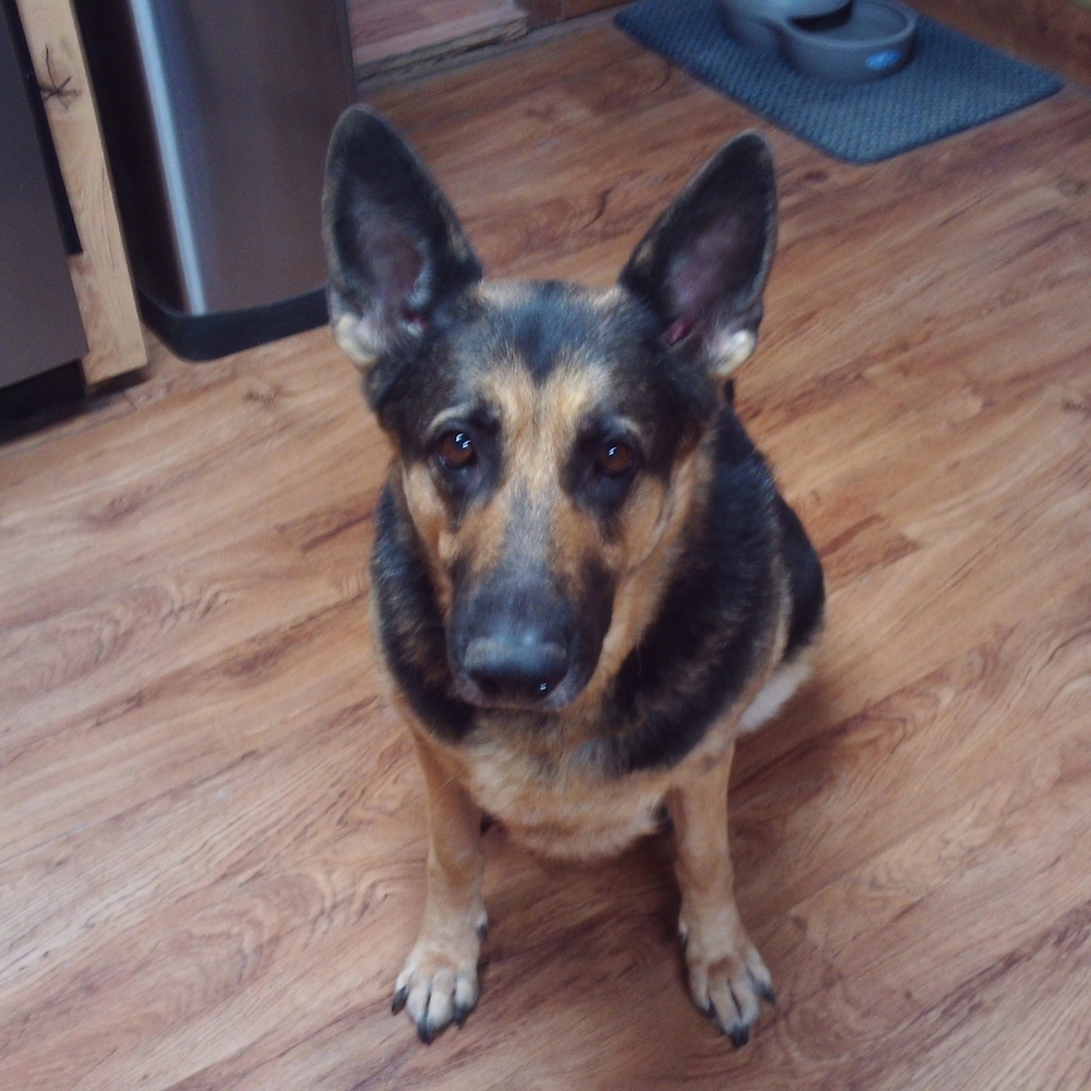 Meet your Posher, Jackie